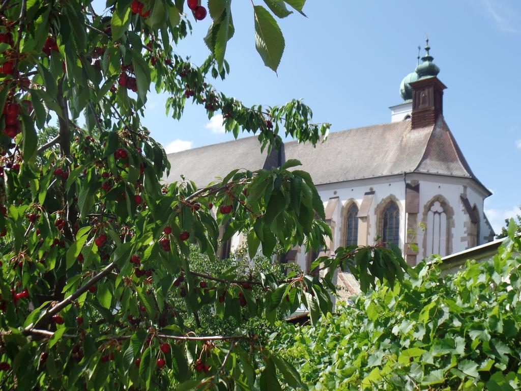 Penzión Oaza Levoča Exterior foto